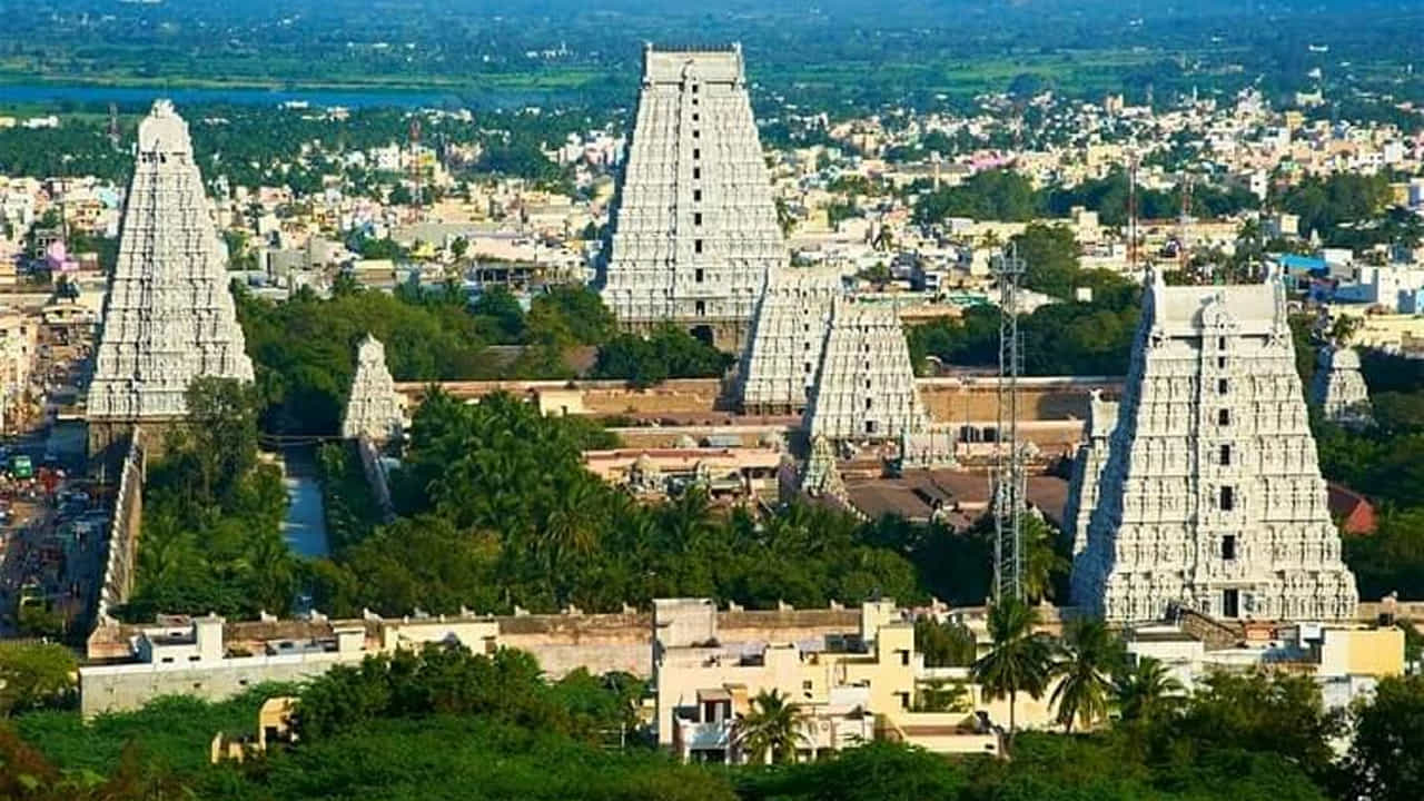 తిరువణ్ణామలై:
తమిళనాడులో ఉన్న తిరువణ్ణామలై గొప్ప ఆధ్యాత్మిక శక్తి కలిగిన ప్రదేశంగా ప్రాముఖ్యతను సంతరించుకుంది. శివుడికి అంకితం చేయబడిన అరుణాచలేశ్వర ఆలయం ఉన్న తిరువణ్ణామలై.. పంచభూత లింగ క్షేత్రాల్లో ఒకటి. ఈ ఐదు పవిత్ర స్థలాలలో అగ్ని క్షేత్రంగా పిలువబడుతుంది. పౌర్ణమి రోజున లక్షలాది మంది భక్తులు ఈ క్షేత్రంలో గిరి ప్రదక్షిణ చేస్తారు. ముఖ్యంగా కృత్తిక దీపం రోజున భారీ సంఖ్యలో భక్తులు చేరుకుంటారు.