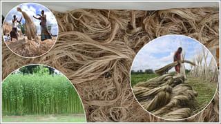 Education Loans: విదేశాల్లో చదువులు.. చౌకైన వడ్డీతో విద్యా రుణాలు అందించే బ్యాంకులు!