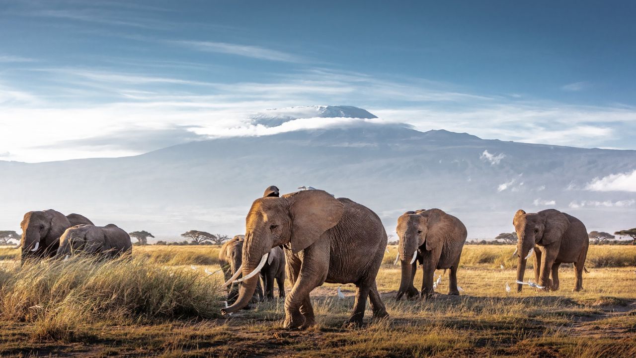 Kaziranga National Park