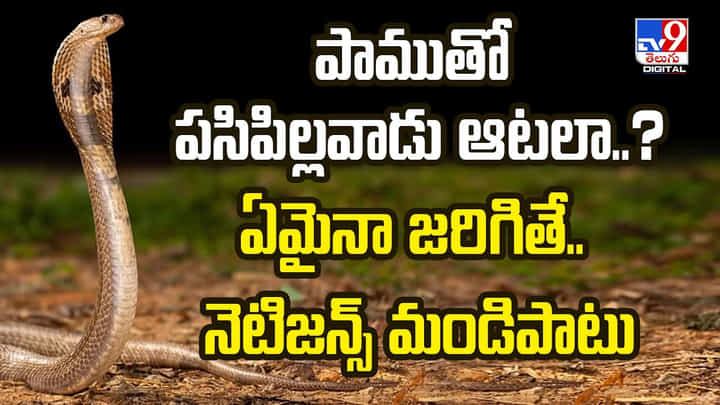 పాముతో పసిపిల్లవాడు ఆటలా ?? ఏమైనా జరిగితే.. నెటిజన్స్ మండిపాటు పాముతో పసిపిల్లవాడు ఆటలా ?? ఏమైనా జరిగితే.. నెటిజన్స్ మండిపాటు
