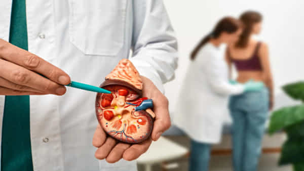 Kidney Health: మీ కిడ్నీలను స్లో పాయిజన్లా తినేస్తున్న డేంజరస్ అలవాట్లివి.. ఈ లక్షణాలుంటే వెంటనే అలెర్టవ్వండి..