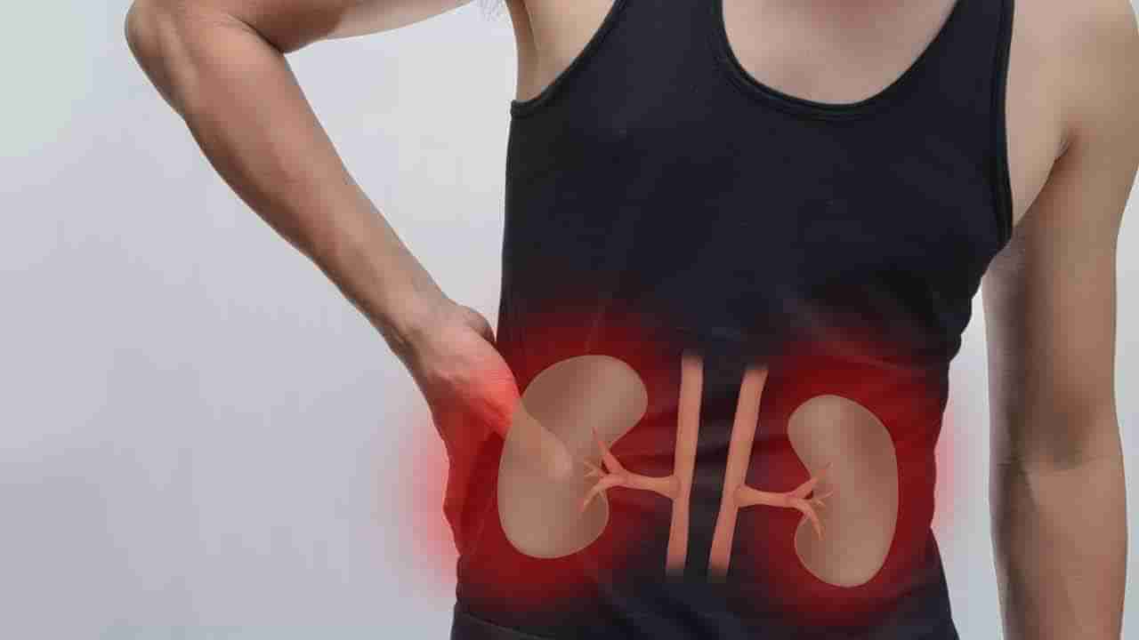 శరీరంలో ఈ రకమైన సమస్య పదే పదే కనిపిస్తే.. జాగ్రత్తగా ఉండండి...! మీ కిడ్నీలు ప్రాబ్లమ్‌లో ఉన్నట్టే..