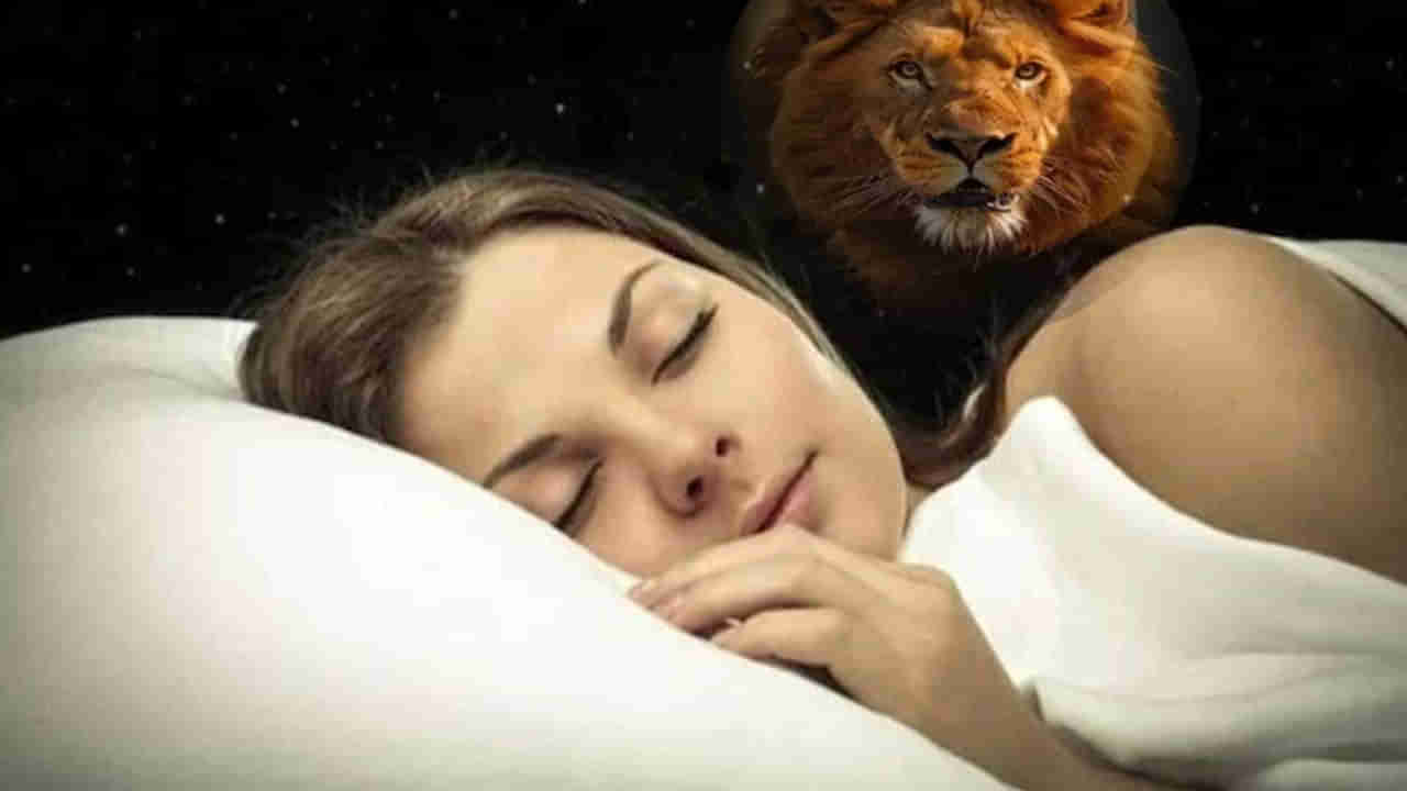 Lion In Dreams: కలలో ఈ జంతువును చూడటం చాలా శుభప్రదం.. జీవితంలో అంతులేని ఆనందం మీ సొంతం అర్ధం..