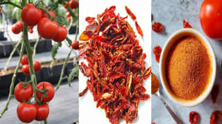 రాత్రిపూట చియా సీడ్స్‌ వాటర్ తాగుతున్నారా..? ఏమౌతుందో తెలిస్తే..