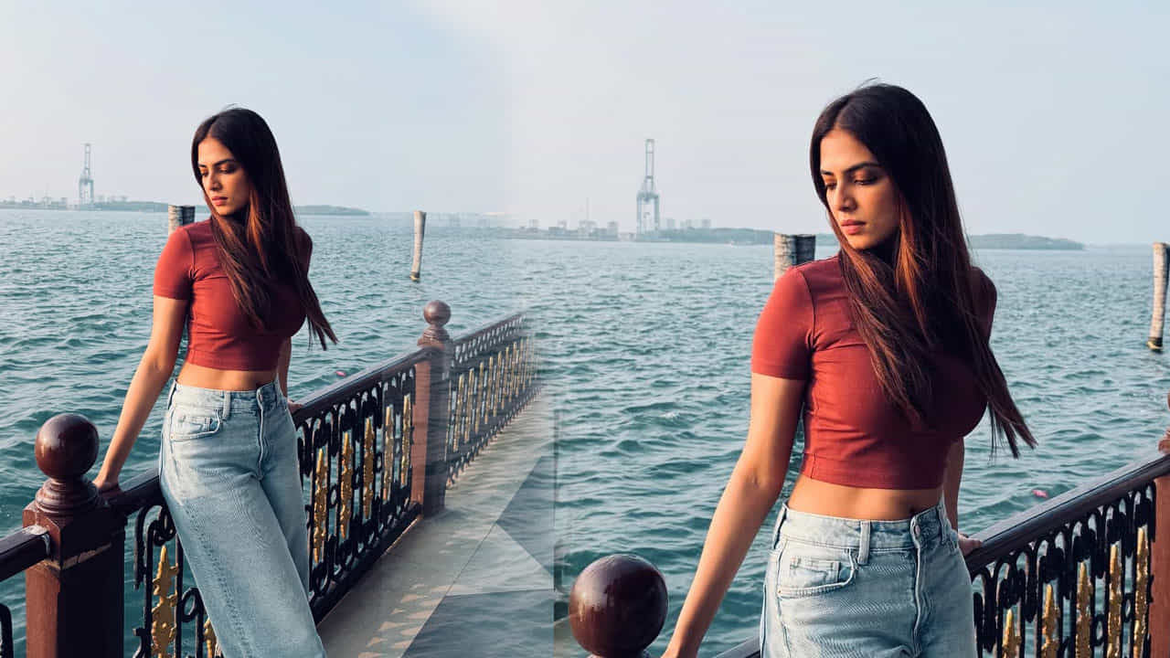 ఇక ఎప్పుడూ సోషల్ మీడియాలో యాక్టివ్గా ఉండే ఈ ముద్దుగుమ్మ తన అందంతో కుర్రకారు గుండెల్లో అగ్గిరాజేస్తుంటుంది. ఎప్పటికప్పుడు తన గ్లామర్ ఫొటోలను షేర్ చేస్తూ.. యూత్కు నిద్రలేకుండా చేస్తుంటుంది.