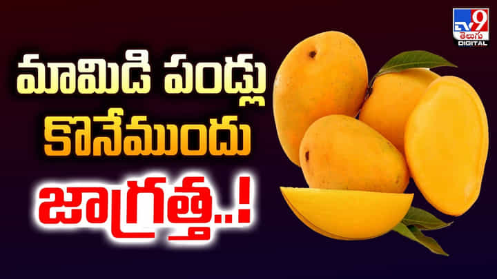 వేసవి లో మామిడి పండ్లు తినే ముందు.. ఈ విషయాలు తప్పక తెలుసుకోండి వేసవి లో మామిడి పండ్లు తినే ముందు.. ఈ విషయాలు తప్పక తెలుసుకోండి