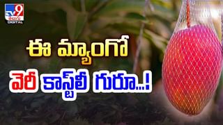ఆరేళ్లుగా ఆఫీసుకు వెళ్లకపోయినా నెలనెలా జీతం.. చివరికి..