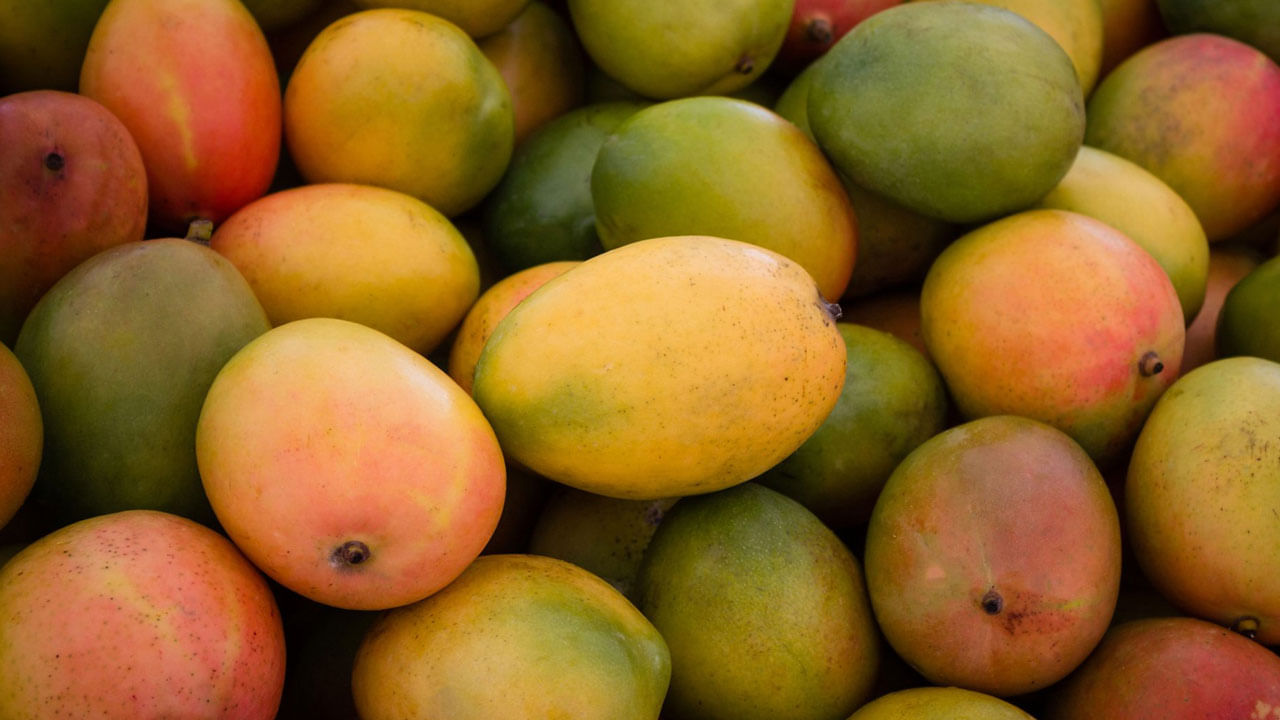 మామిడి పండ్లను తింటే అనేక ఆరోగ్య ప్రయోజనాలు కల్గుతాయి. మామిడి పండ్లను తినడం వల్ల శరీరంలోని జీర్ణవ్యవస్థ వేగంగా పెరుగుతుంది. మామిడి పండ్లు బీటా-కెరోటిన్ కు మంచి మూలం. ఇది శరీరంలో విటమిన్ ఎ గా మారుతుంది. మంచి కంటిచూపుకు విటమిన్ ఎ చాలా అవసరం. వయస్సు సంబంధిత మాక్యులర్ క్షీణత నుండి రక్షించడంలో సహాయపడుతుంది.