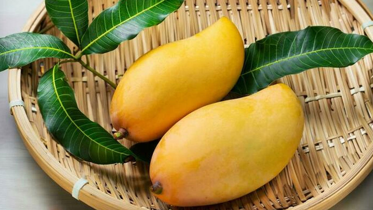 మామిడిలో విటమిన్ లు, మినరల్స్ లు ఎక్కువగా ఉంటాయి. మామిడి పండ్లు విటమిన్ సి కి మంచి మూలం. ఇది రోగనిరోధక శక్తిని పెంచడంలో సహాయపడే యాంటీఆక్సిడెంట్. విటమిన్ సి శరీరాన్ని ఇన్ఫెక్షన్, వ్యాధుల నుండి రక్షించడంలో సహాయపడుతుంది. మామిడి పండ్లు ఫైబర్ కు మంచి మూలం. ఇది మంచి జీర్ణక్రియకు అవసరం. ఫైబర్ జీర్ణవ్యవస్థను ఆరోగ్యంగా ఉంచడంలో సహాయపడుతుంది. మలబద్ధకం వంటి కడుపు సమస్యలను నివారించడంలో సహాయపడుతుంది.