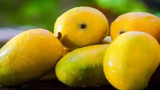 Cigarettes: సిగరెట్లు తాగితే ఎందుకు మజా వస్తుందో తెలుసా? దీని వెనుక సైన్స్ రహస్యం ఇదే