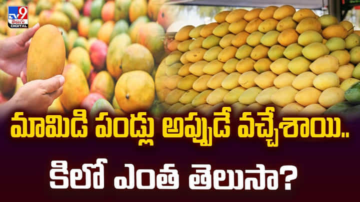 అప్పుడే మార్కెట్లోకి మామిడి పండ్లు.. కిలో ఎంతో తెలుసా వీడియో అప్పుడే మార్కెట్లోకి మామిడి పండ్లు.. కిలో ఎంతో తెలుసా వీడియో
