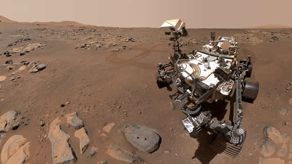 Aliens on Mars: అంగారక గ్రహంపై ఏలియన్స్ ఉన్నారు! CIA మాజీ ఉద్యోగి సంచలన రిపోర్ట్