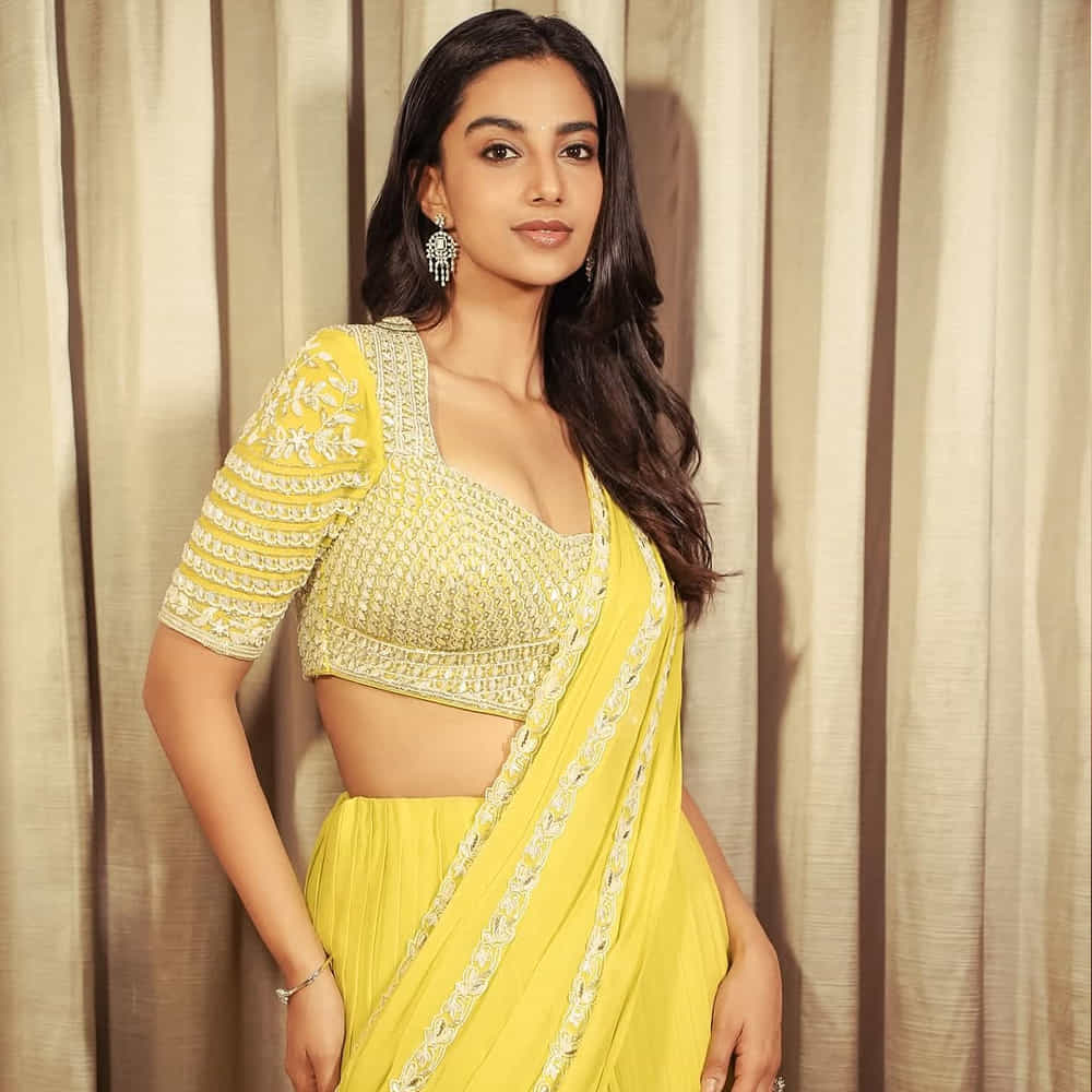 ఈ ఏడాది సంక్రాంతికి వస్తున్నాం మూవీతో సక్సెస్ స్ట్రీక్ని జాగ్రత్త చేసుకున్నారు ఈ లేడీ. మీనూ అంటూ ఇప్పటికీ ఆమె రోల్ని గుర్తుచేసుకుంటున్నారు ఫ్యాన్స్. తెలుగులోనే కాదు, అదర్ లాంగ్వేజెస్లోనూ తన మార్క్ చూపించడానికి ట్రై చేస్తున్నారు మీనాక్షి చౌదరి.