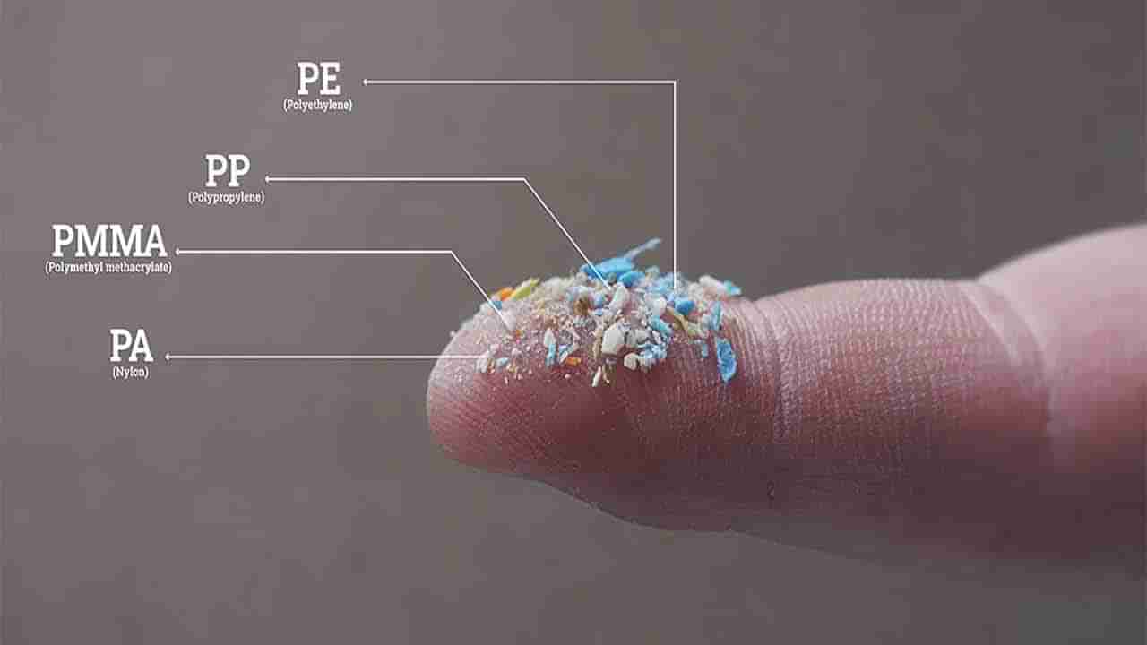 Microplastics in Food: ఒంట్లోకి చేరుతున్న లక్షలాదిగా మైక్రోప్లాస్టిక్స్.. పూర్తిగా ఆపలేకపోయినా ఈ పనులు మనమూ చేద్దాం..!