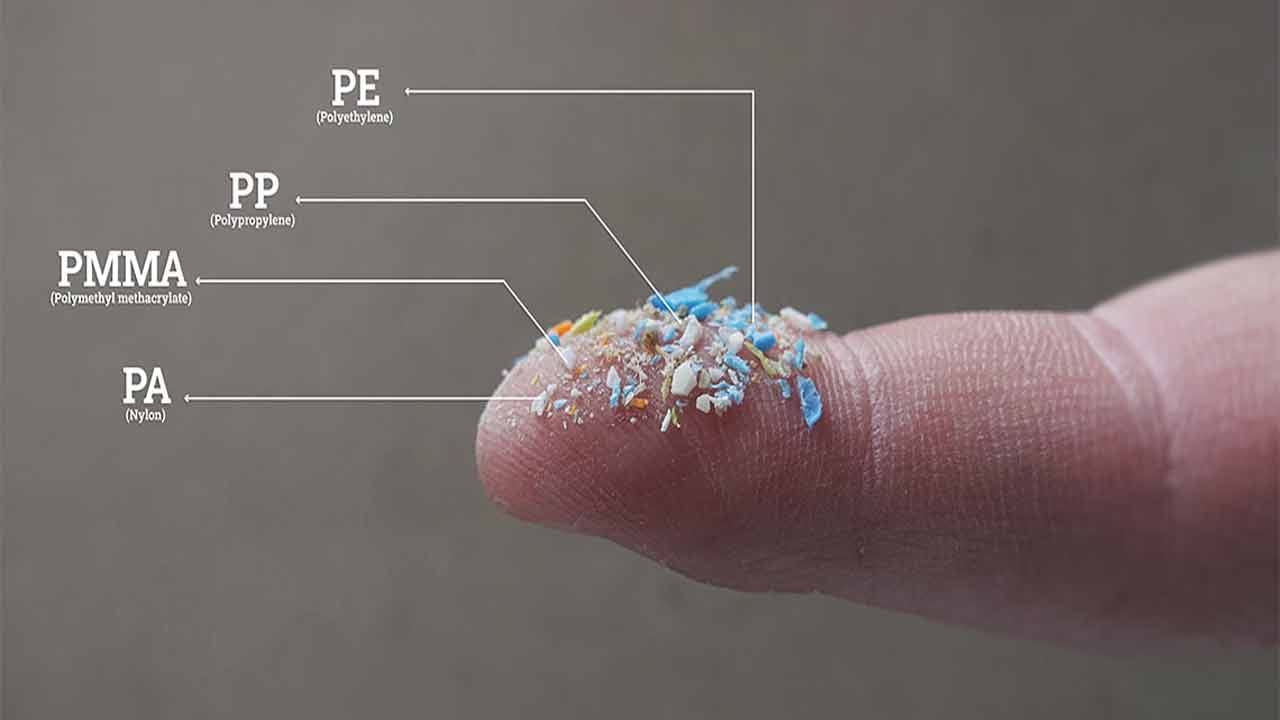 Microplastics in Food: ఒంట్లోకి చేరుతున్న లక్షలాదిగా మైక్రోప్లాస్టిక్స్.. పూర్తిగా ఆపలేకపోయినా ఈ పనులు మనమూ చేద్దాం..!
