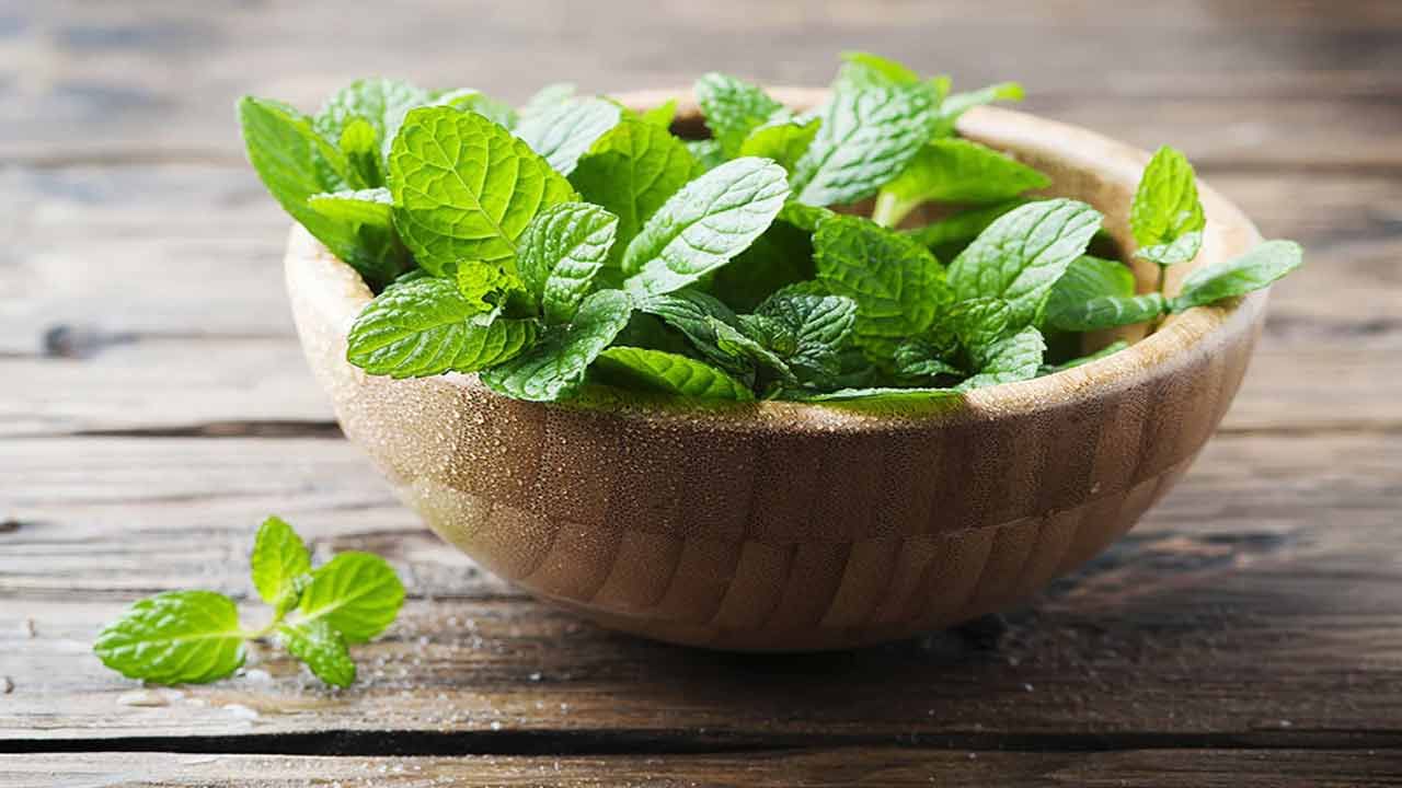 Mint health benefits: పుదీనా మజాకా..! అద్బుతమైన ఆరోగ్య ప్రయోజనాలు తెలిస్తే..
