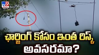 పంటపొలాల్లో వింత జంతువు పరుగులు.. భయం భయంగా రైతులు