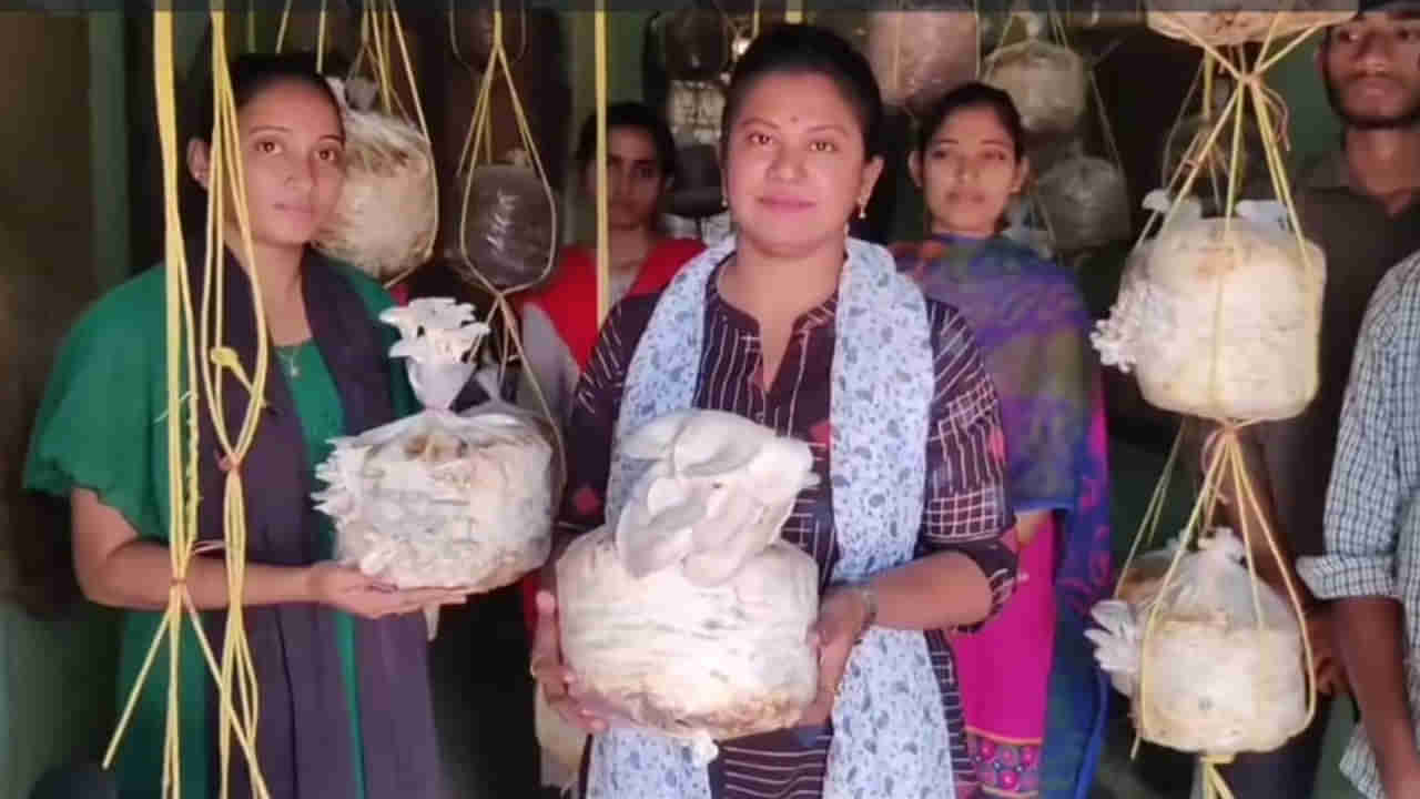 Telangana: ప్రొఫెసర్ మాట విని ఇంట్లోనే పుట్ట గొడుగుల పెంపకం.. వేల రూపాయలు సంపాదించిన విద్యార్థులు