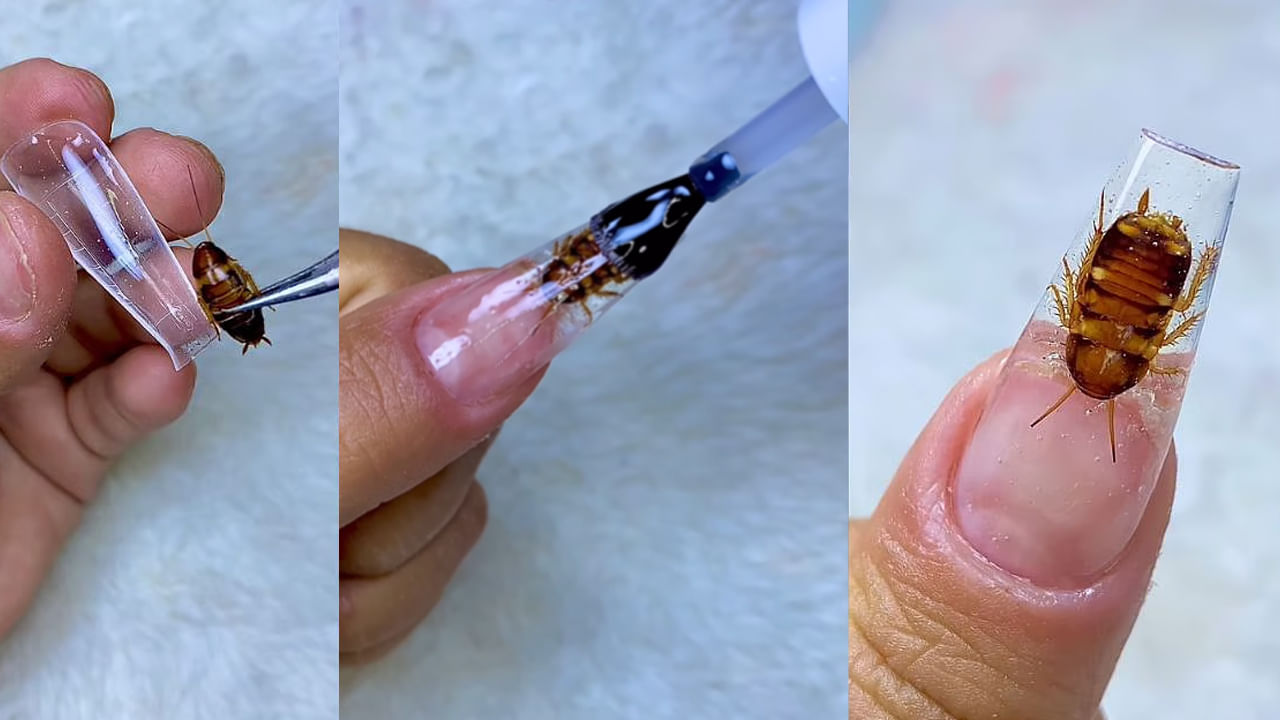 Viral Video: బతికి ఉన్న బొద్దింకతో కృతిమ గోరు తయారీ.. పిచ్చి పీక్‌స్టేజ్‌లో అంటున్న నెటిజన్లు