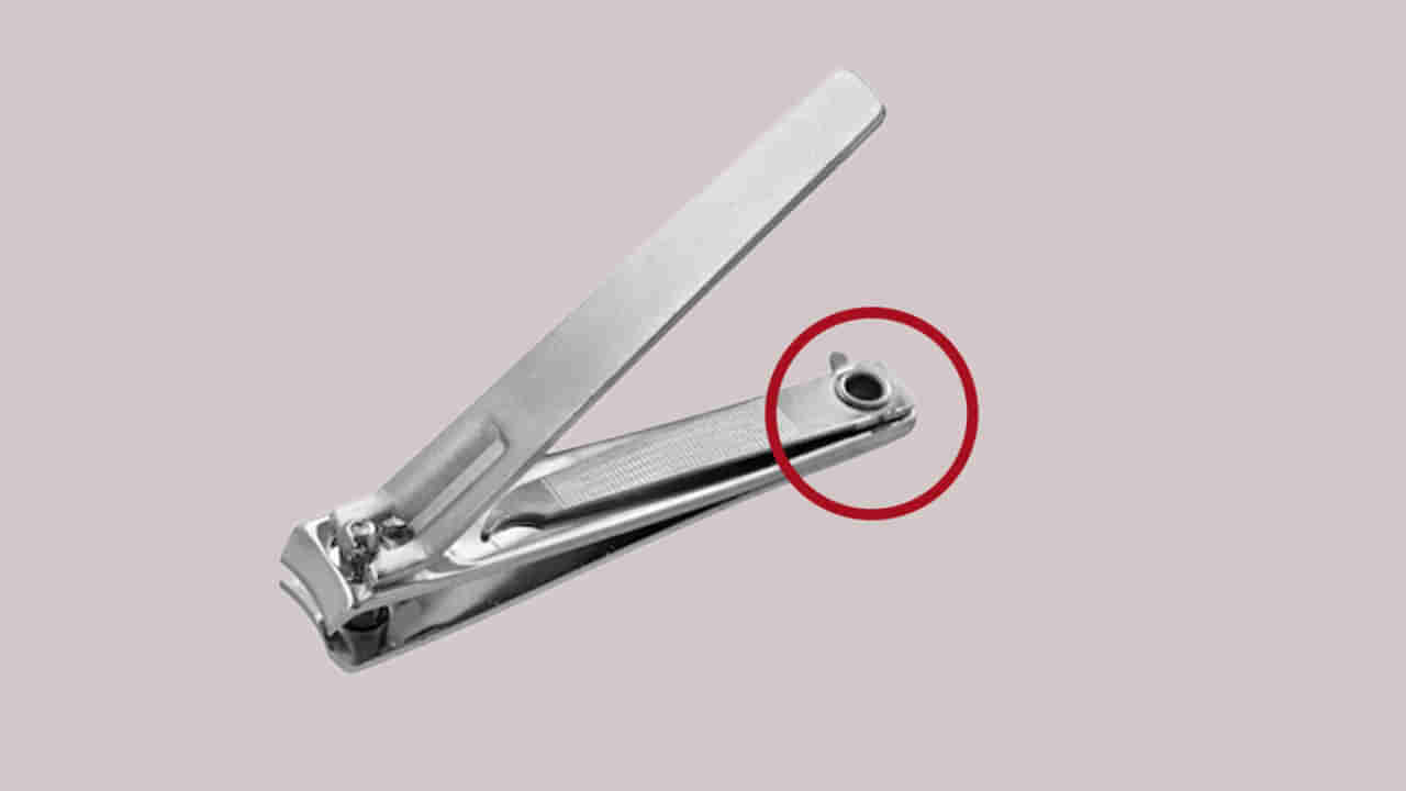 NailCutter Hack: నెయిల్ కట్టర్లో ఈ చిన్న రంధ్రం ఎందుకు.. దీని వెనకున్న బిజినెస్ టెక్నిక్ తెలిస్తే ఆశ్చర్యపోతారు..
