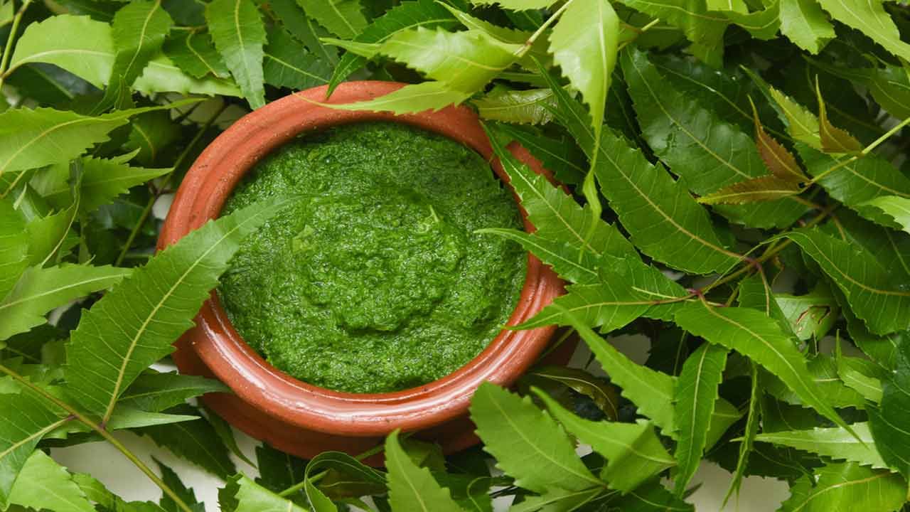 వేపాకులో ఉండే ఫైబర్ కారణంగా మలబద్ధకం వంటి సమస్యలు పోతాయి. అయితే ప్రతిరోజు ఉదయాన్నే పరగడుపున మూడు నుంచి నాలుగు వేపాకులను నమిలి తినాలి. వేపాకులను తినలేకుంటే వేపాకు రసం కూడా తీసుకోవచ్చు. వేపాకు పొడిని కూడా నీటిలో కలుపుకుని తాగవచ్చు. 