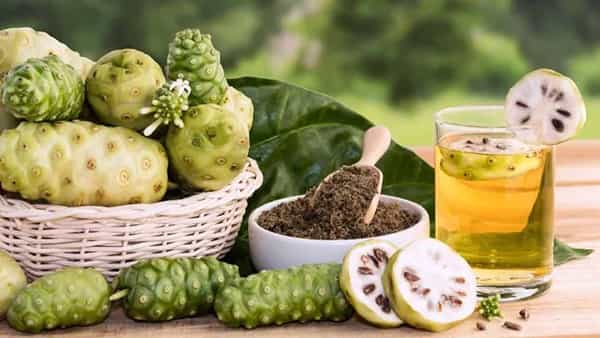 ఈ పండు గుండె జబ్బులకు దేవుడిచ్చిన వరం.. ఒక్కసారి తింటే కొవ్వు వెన్నలా కరిగిపోవాల్సిందే..!