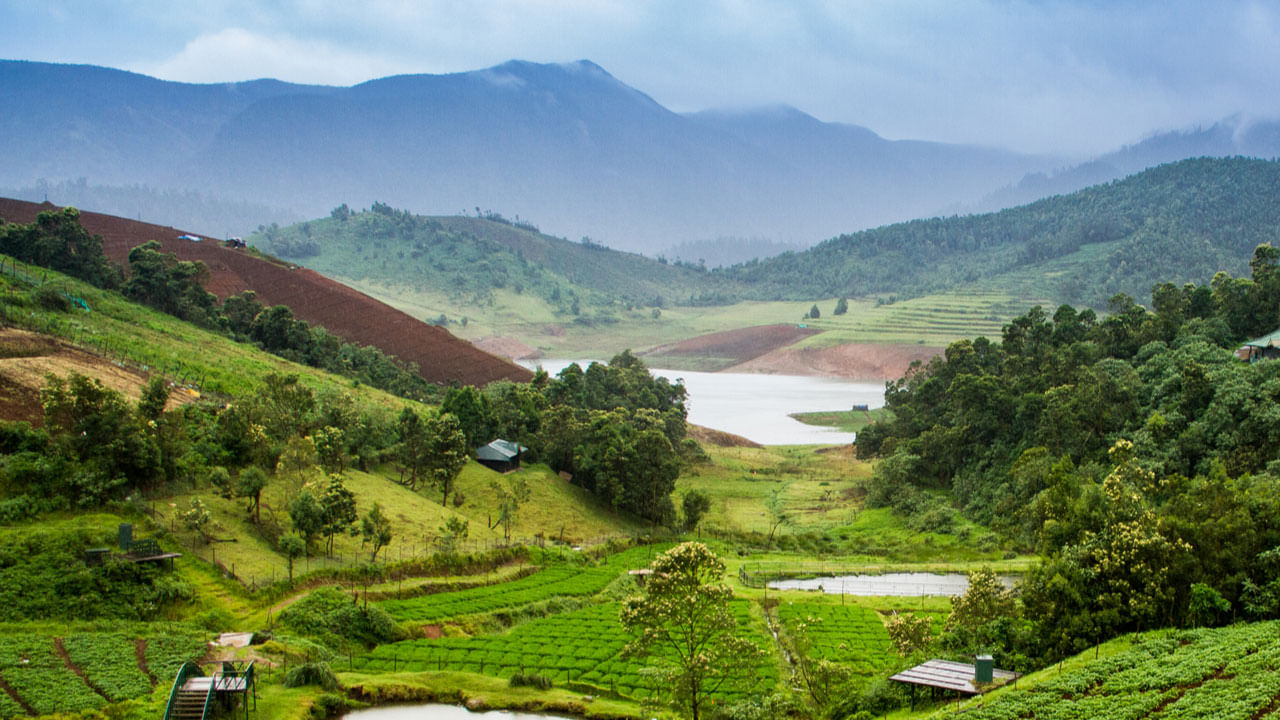ఊటీకి వెళ్లేవారు మొదట ఊటీ సరస్సు చూడొచ్చు. ఇక్కడ బోటింగ్ చేస్తూ ఊటీ అందాలను చూస్తూ ఎంజాయ్ చేయొచ్చు. తర్వాత నీలగిరి పర్వత వద్దకు రైలు ద్వారా ప్రయాణం చేయాలి. తర్వాత ఊటీలోని ఎత్తైన శిఖరం దొడ్డ బెట్ట ఇది. చూడటానికి చాలా బాగుంటుంది.