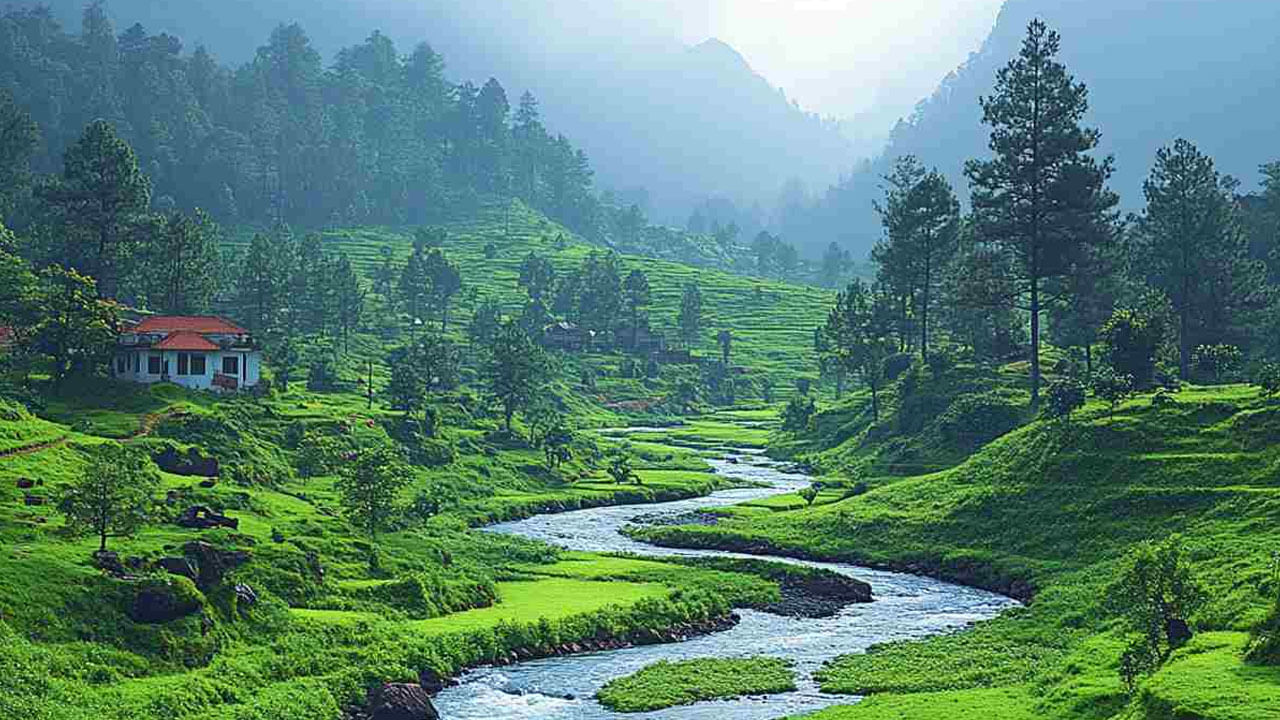 భారతదేశంలో తమిళనాడు రాష్ట్రంలో ఉన్న పర్యాటక ప్రాంతంలో ఊటీ ఒకటి. ఇది నీలగిరి పర్వతాలలో అందమైన లోయలలో ఉంటుంది. అక్కడి చల్లటి వాతావరణం, ఊటీ అందాలు పర్యాటకులను ఎక్కువగా ఆకర్షిస్తాయి. అయితే ఊటీకి వెళ్లే వారు ఈ విషయాలుపై అవగాహన ఉంచుకోవాలంట.