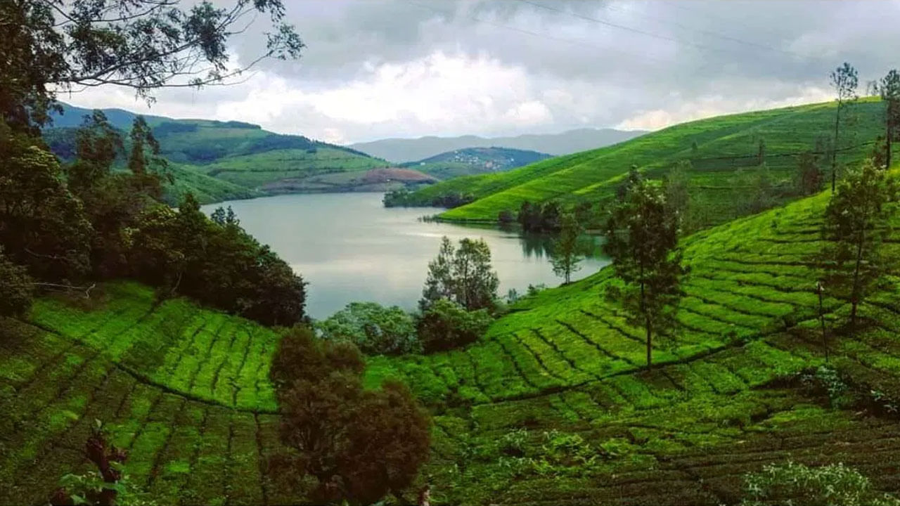 వాటి తర్వాత బొటానికల్ గార్డెన్, ఇక్కడ అందమైన పూల తోటలు పర్యాటకులను ఆకర్షిస్తాయి, కాసా సర్సు చూడటమే కాకుండా అక్కడ ట్రెక్కింగ్ చేసి మంచి అనుభూతి పొందవచ్చు.