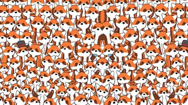 Optical illusion: మీకు మంచి IQ ఉంటె పాండాల మధ్య దాగున్న నక్కలను కనిపెట్టండి చూద్దాం..!
