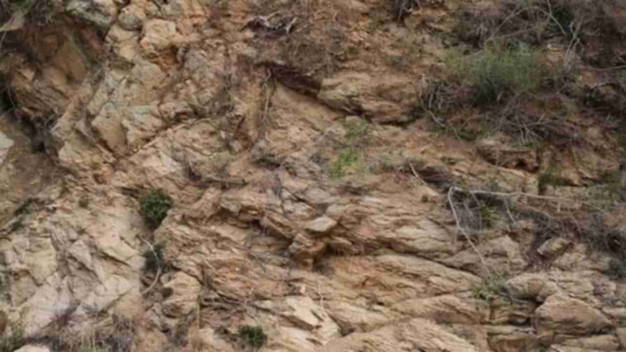 Optical illusion: మీరు జీనియస్ అయితే ఈ పజిల్ ని కనిపెట్టండి చూద్దాం..!