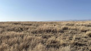 Viral: సీక్రెట్‌గా భర్త ఆ యవ్వారం.. డౌట్ వచ్చి.. భార్య ఏం చేసిందో తెలిస్తే కళ్లు తేలేస్తారు