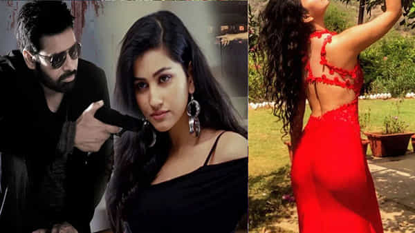 Panjaa Movie: అయ్యా బాబోయ్.. ఈ హీరోయిన్ ఏంటీ ఇట్టా మారిపోయింది.. ఇప్పుడేం చేస్తుందంటే..