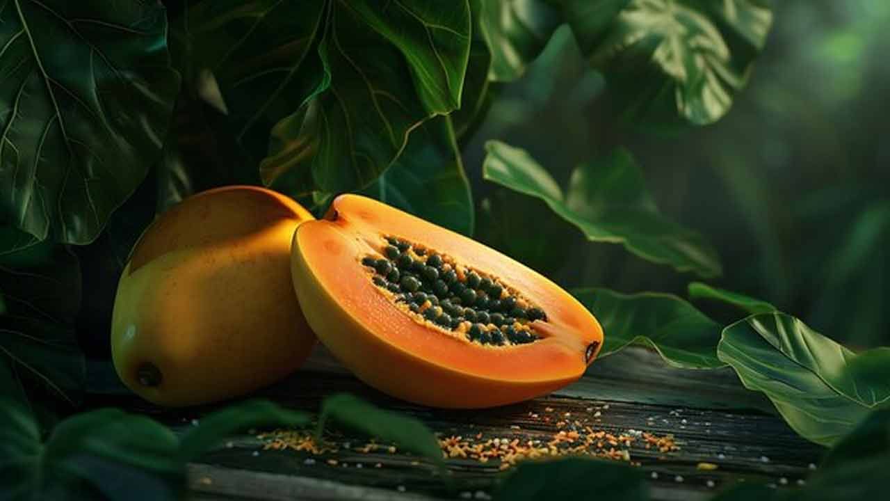 బొప్పాయిలో ఉండే పపైన్ అనే ఎంజైమ్ ఆహారాన్ని జీర్ణం చేయడానికి సహాయపడుతుంది. బొప్పాయిలో విటమిన్ సి పుష్కలంగా ఉంటుంది. ఇది రోగనిరోధక శక్తిని పెంచడానికి సహాయపడుతుంది. విటమిన్ ఎ చర్మాన్ని ఆరోగ్యంగా ఉంచడంలో సహాయపడుతుంది.