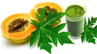 Heart Health: హార్ట్ హెల్త్ కోసం తినాల్సిన 10 ఫైబర్ డైట్ ఫుడ్స్ ఇవే..! వీటిని అస్సలు మిస్సవ్వకండి..!