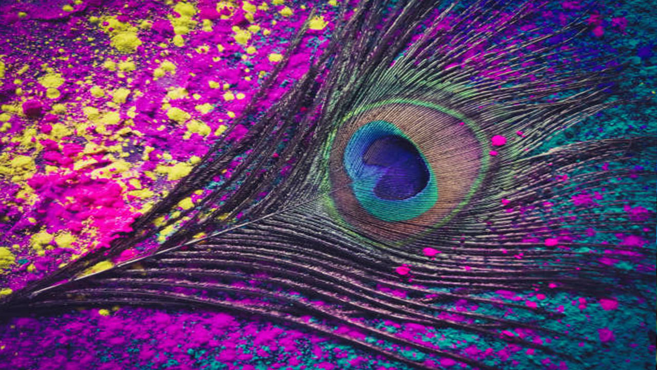 ఇంట్లో డబ్బు సమస్యలను పరిష్కరించడానికి.. శుక్ల పక్షంలో ఆగ్నేయ మూలలో కనీసం 5 అడుగుల ఎత్తులో రెండు నెమలి ఈకలను ఉంచడం వల్ల డబ్బు సమస్యలు పరిష్కారమవుతాయి.