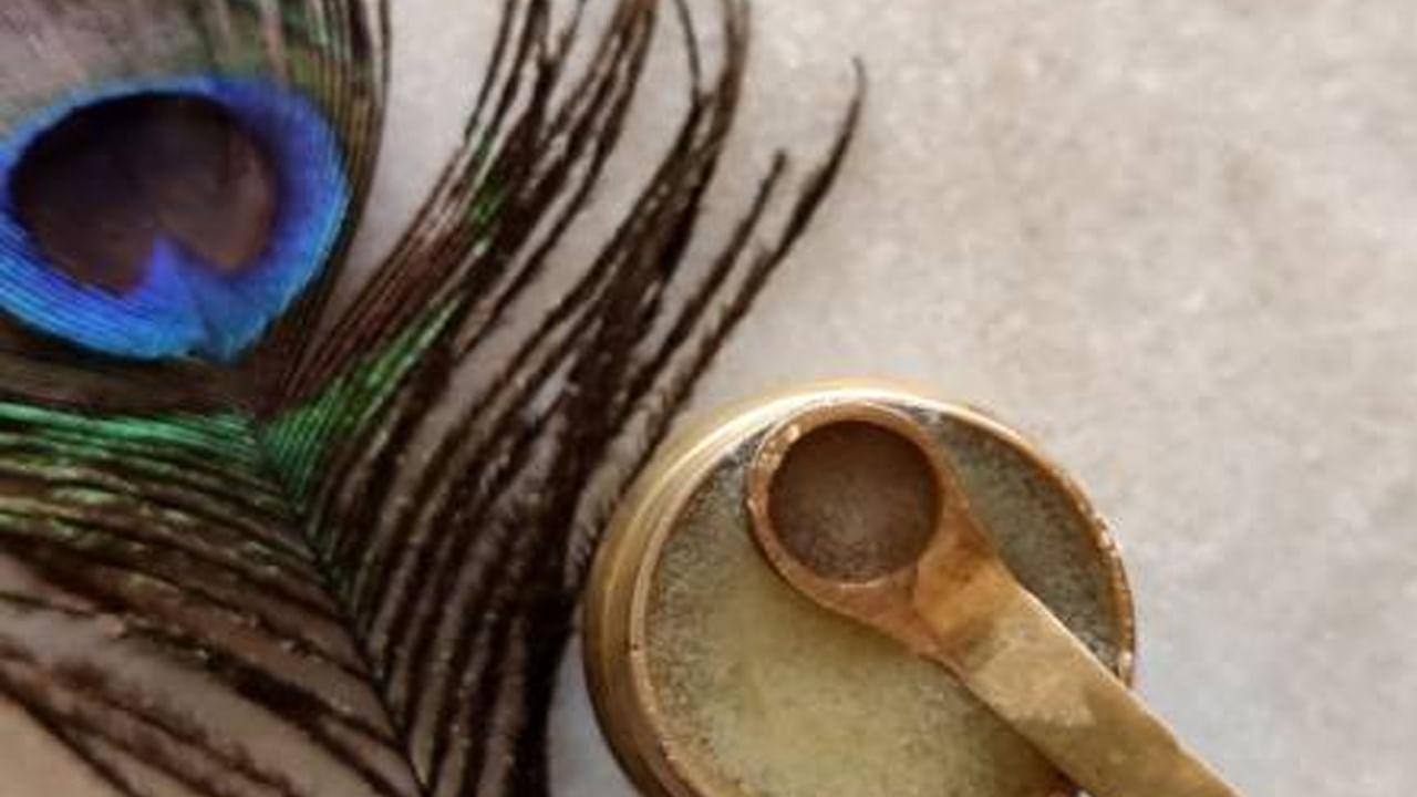 ఇంట్లో పరిశుభ్రమైన, ఆరోగ్యకరమైన వాతావరణాన్ని అందించడంలో నెమలి ఈకలు కూడా సహాయపడతాయి. నెమలి ఈకలు ఉంచిన ప్రదేశం చుట్టూ ఎటువంటి కీటకాలు రావు.