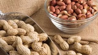 Mushrooms: పుట్టగొడుగుల గురించి ఈ విషయం తెలిస్తే ఇప్పుడే తినేస్తారు.. పుట్టేడు లాభాలు..!