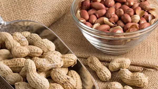 Peanut: పల్లీలను ఇలా పొట్టుతో సహా తింటే ఏమౌతుందో తెలిస్తే ఇక విడిచిపెట్టరు..