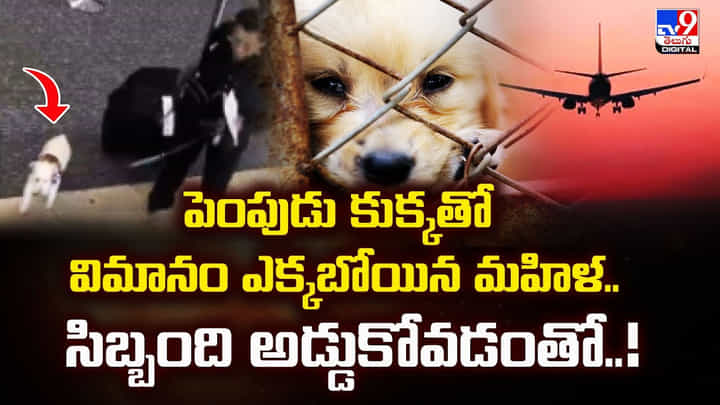 పెంపుడు కుక్కతో విమానం ఎక్కబోయిన మహిళ..సిబ్బంది అడ్డుకోవడంతో..! పెంపుడు కుక్కతో విమానం ఎక్కబోయిన మహిళ..సిబ్బంది అడ్డుకోవడంతో..!