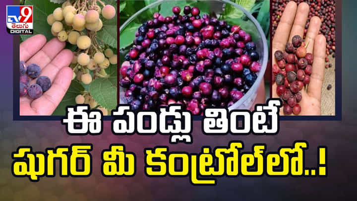 ఈ పండ్లు తింటే.. షుగర్ మీ కంట్రోల్లో ఉంటుంది ఈ పండ్లు తింటే.. షుగర్ మీ కంట్రోల్లో ఉంటుంది