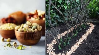 Viral Video: రోడ్డు దాటుతున్న చిరుతను ఢీకొట్టిన బైకర్‌.. తర్వాత ఏం జరిగిందంటే..? షాకింగ్‌ వీడియో వైరల్‌..