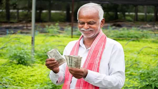 PM Kisan: పీఎం కిసాన్ 20వ విడత ఎప్పుడు వస్తుందో తెలుసా...? ఇలా చెక్ చేసుకోండి!