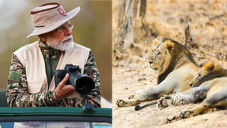 Madhya Pradesh: ఇది కదా విశ్వాసం అంటే.. తన యజమానిని కాపాడేందుకు టైగర్‌తో పోరాడిన శునకం!