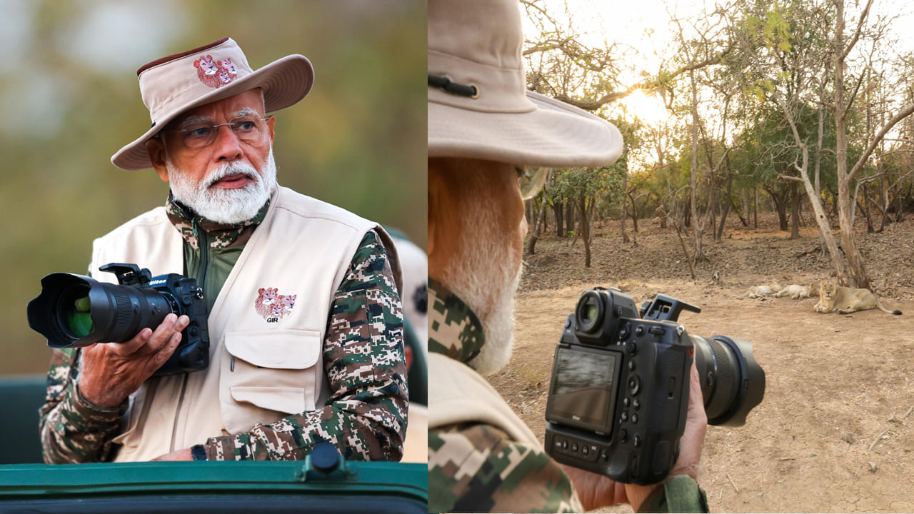 ప్రధాని నరేంద్ర మోదీ సోమవారం ఉదయం గుజరాత్‌లోని గిర్‌ అభయారణ్యంలో పర్యటించారు. ఈ రోజు(మార్చ్‌ 3) ప్రపంచ వన్యప్రాణి దినోత్సం సందర్భంగా ఆయన ఈ కార్యక్రమంలో పాల్గొన్నారు. ఈ పర్యటన అనంతరం ప్రధాని జునాగఢలోని ససాన్‌లో జరిగే జాతీయ వన్యప్రాణి బోర్డు సమావేశంలో పాల్గొంటారు. 