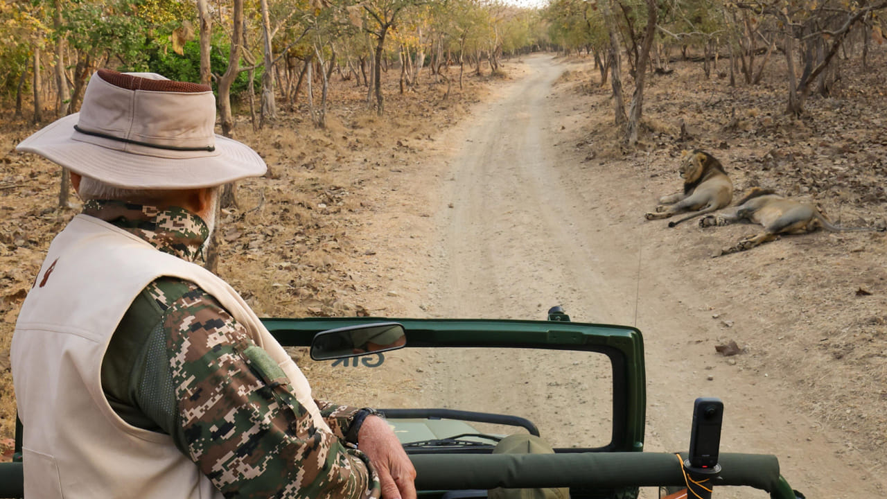 గిర్‌ అభయారణ్యంలో పర్యటిస్తున్న క్రమంలో ప్రధాని మోదీ స్వయంగా కెమెరాతో అక్కడున్న సింహాలను ఫొటోలు తీయడం విశేషం. ప్రధాని మోదీకి వైల్డ్‌ లైఫ్‌ ఫొటోగ్రాఫీ అంటే ఇష్టం అనే విషయం తెలిసిందే. గతంలో పలు సందర్భాల్లో కూడా మోదీ కెమెరాతో వన్యప్రాణుల ఫొటోలు క్లిక్‌మనిపించారు. 