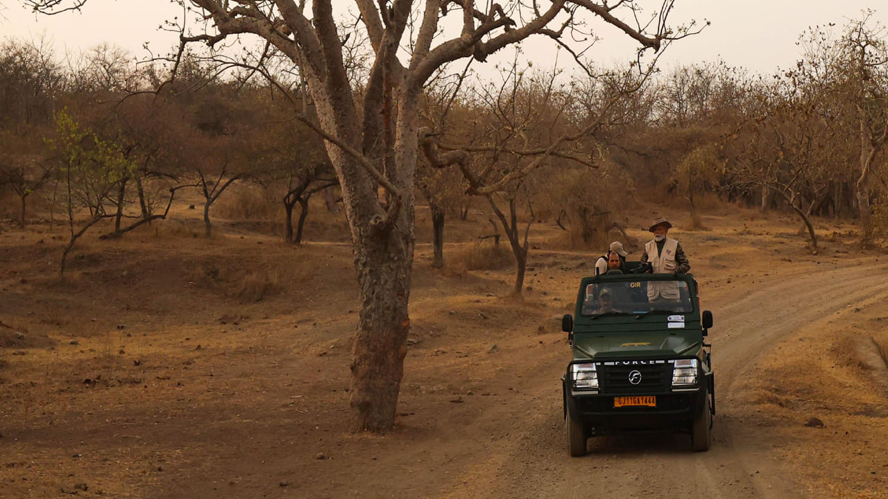 ప్రధాని మోదీ పర్యటన సందర్భంగా జునాగఢ్‌ జిల్లాలోని న్యూ పిపాలియా వద్ద 20.24 హెక్టార్లలో నేషనల్‌ రెఫరల్‌ సెంటర్‌ ఫర్‌ వైల్డ్‌ లైప్ హెల్త్‌ ను ఏర్పాటు చేస్తున్నట్లు కేంద్ర ప్రభుత్వం ప్రకటించింది. గుజరాత్‌లోని తొమ్మిది జిల్లాలోని 53 తాలుకాల్లో సుమారు 30 చదరపు కిలో మీటర్లలో సింహాల ఆవాసాలు ఉన్నాయి. దీన్ని ఆసియా సింహాల నేలగా కూడా పిలుస్తారు. 