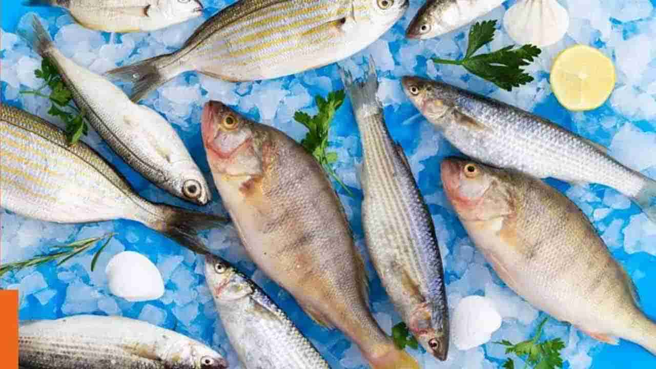 చేప కాదిది పోషకాల పుట్ట..! ఒక్క ముక్క తింటే చాలు 300లకు పైగా రోగాలు పరార్..!!