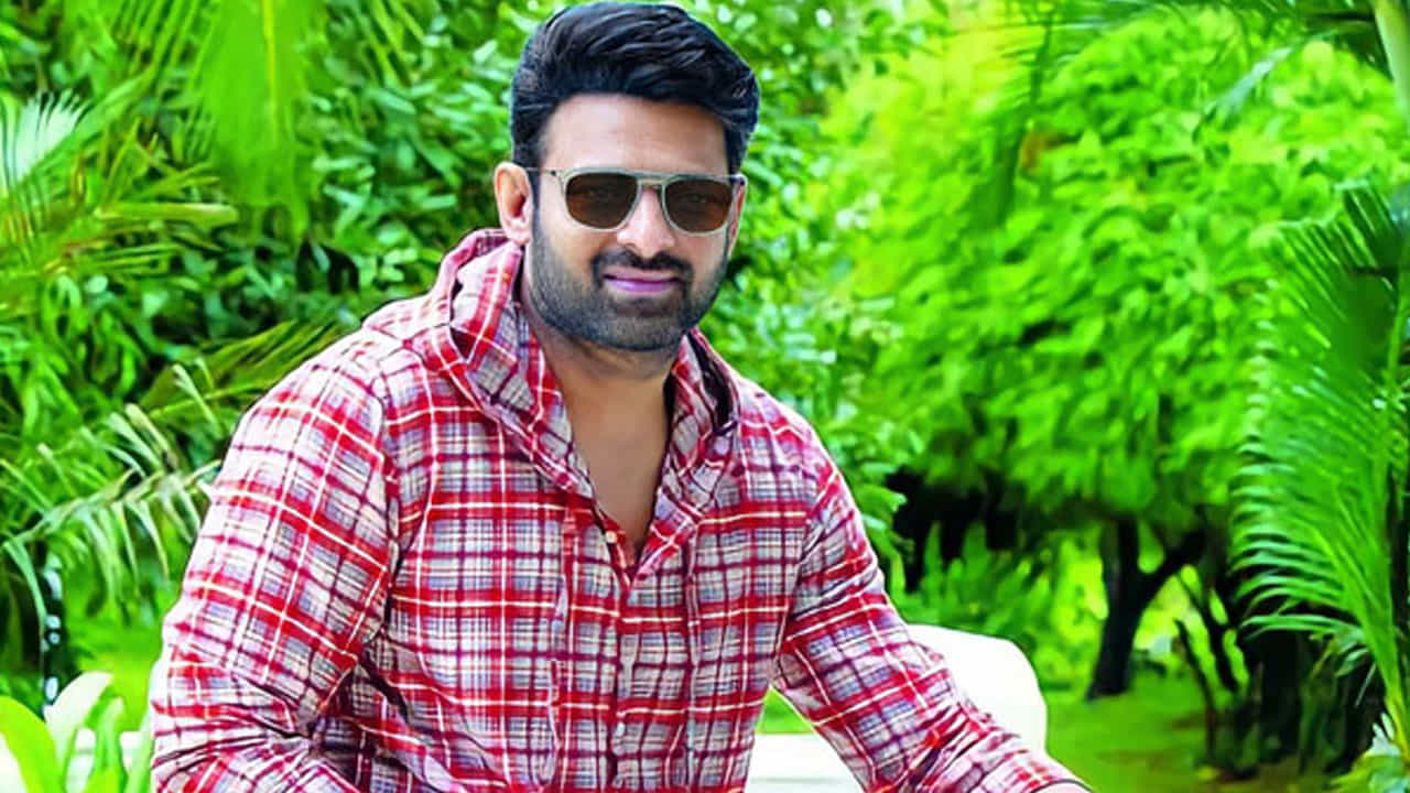 రెబెల్ స్టార్ మూవీస్ అంటే చాలా మందికి ఇష్టం ఉంటది. కానీ ఈ మధ్య డార్లింగ్ చేసిన ఓ మూవీ ప్రభాస్ ఫ్యాన్స్కు అస్సలే నచ్చలేదు. అంతే కాదండోయ్ తమ అభిమాన హీరో ఆ మూవీలో నటించకుంటే బాగుండు అని చాలా మంది అన్నారంట.