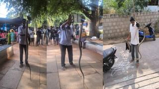 బయటపడిన పురాతన విగ్రహాలు! ఇంకా ఉన్నాయి, తవ్వకాలు జరపాలని స్థానికుల డిమాండ్